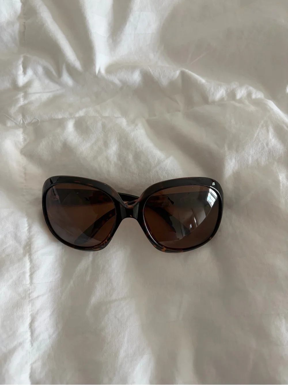 Women’s Oversized Brown Sunglasses
